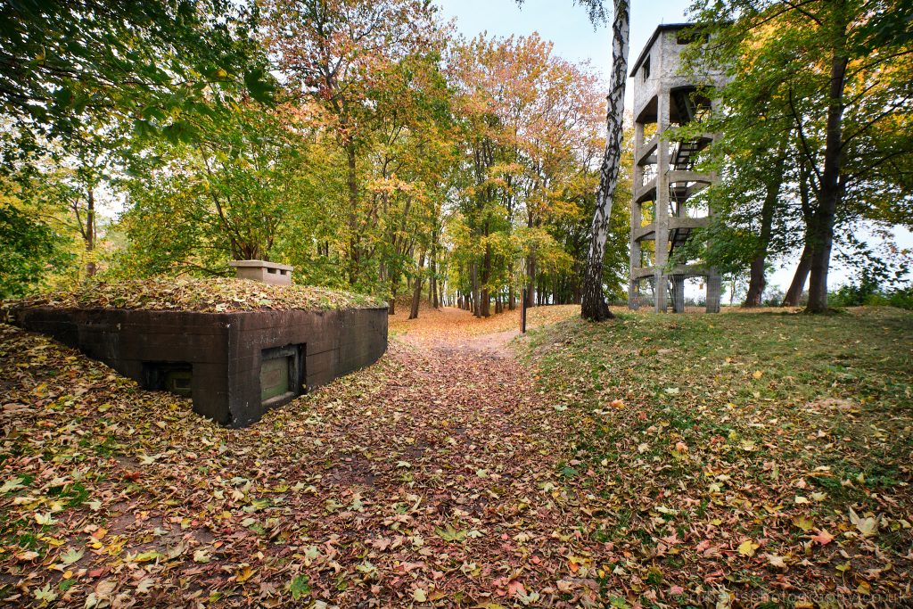 An autumnal scene on Westerplatte.