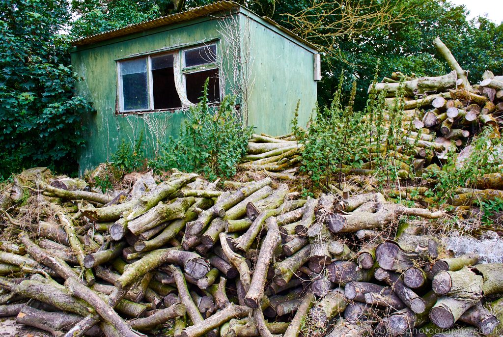 A wooden shed surrounded by logs.