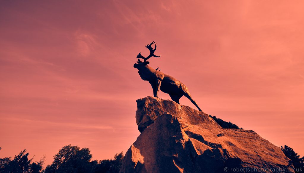 Beaumont-Hamel Newfoundland Memorial.